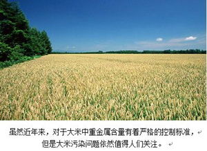 土壤重金屬鎘污染治理——谷騰專題土壤環境污染防治服務